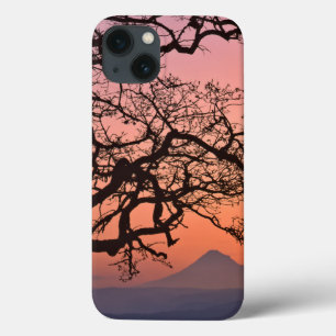 USA, Oregon, Columbia River Gorge National 2 iPhone 13 Case