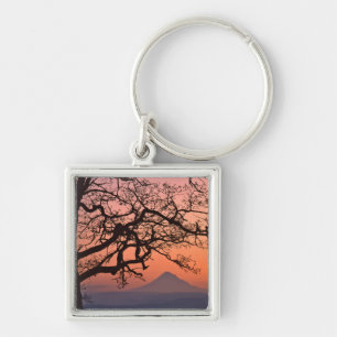 USA, Oregon, Columbia River Gorge National 2 Key Ring