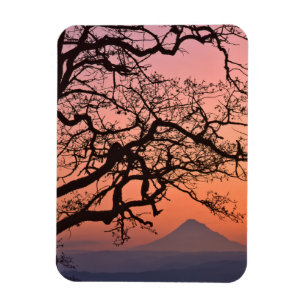 USA, Oregon, Columbia River Gorge National 2 Magnet