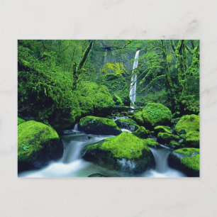 USA, Oregon, Columbia River Gorge National 2 Postcard