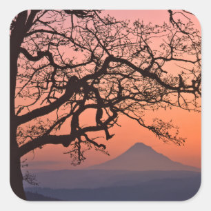 USA, Oregon, Columbia River Gorge National 2 Square Sticker