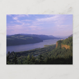 USA, Oregon, Columbia River Gorge National 4 Postcard