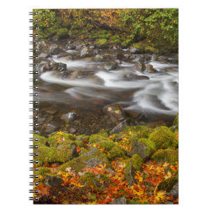 USA, Oregon, Columbia River Gorge, Tanner Creek 2 Notebook