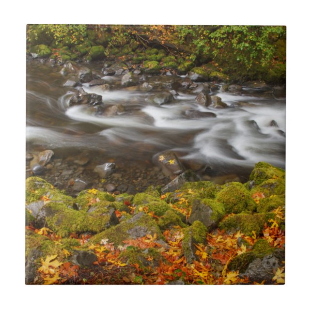 USA, Oregon, Columbia River Gorge, Tanner Creek 2 Tile (Front)