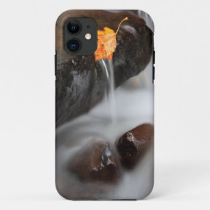 USA, Oregon, Columbia River Gorge, Tanner Creek 3 iPhone 11 Case