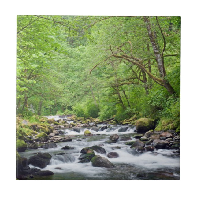 USA, Oregon, Columbia River Gorge, Tanner Creek 4 Tile (Front)