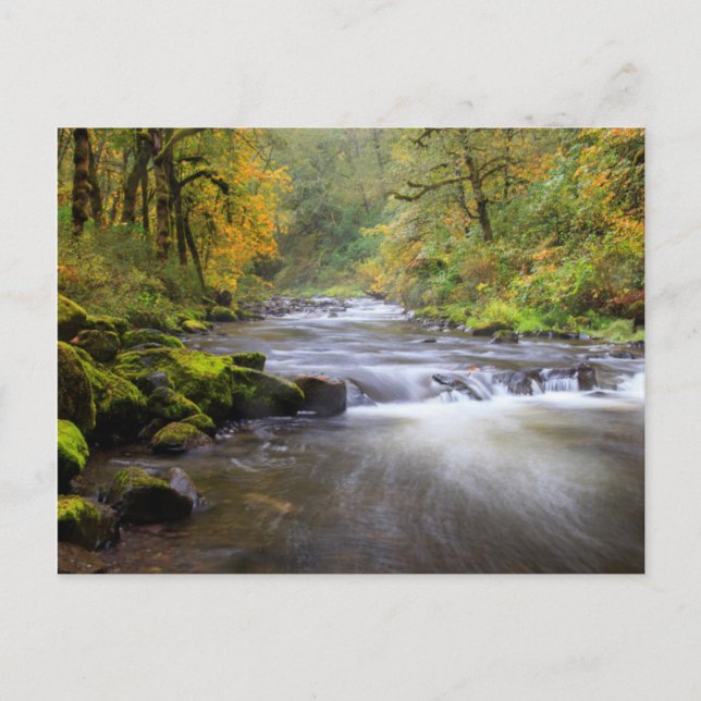 USA, Oregon, Columbia River Gorge, Tanner Creek Postcard (Front)