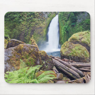 USA, Oregon, Columbia River Gorge, Wahclella Mouse Mat