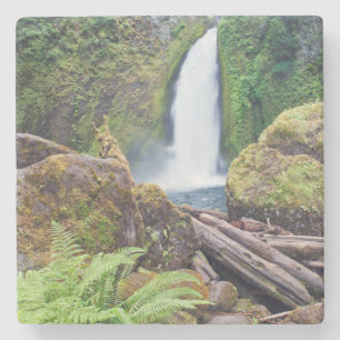 USA, Oregon, Columbia River Gorge, Wahclella Stone Coaster