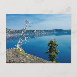 USA, Oregon, Crater Lake National Park 4 Postcard