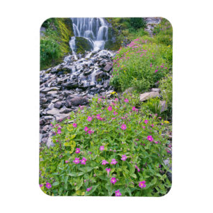 USA, Oregon, Crater Lake National Park Magnet