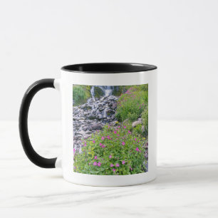 USA, Oregon, Crater Lake National Park Mug