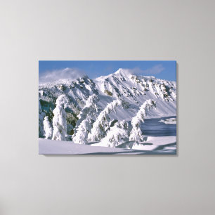 USA, Oregon, Crater Lake NP. Trees bow under the Canvas Print