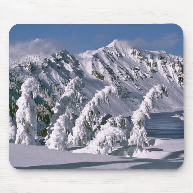 USA, Oregon, Crater Lake NP. Trees bow under the Mouse Mat (Front)