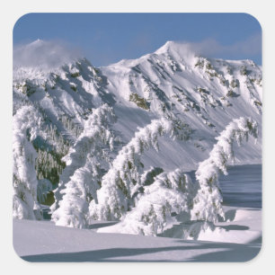 USA, Oregon, Crater Lake NP. Trees bow under the Square Sticker