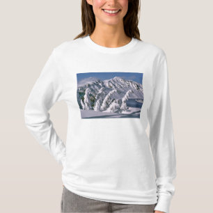 USA, Oregon, Crater Lake NP. Trees bow under the T-Shirt
