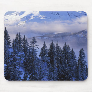 USA, Oregon, Deschutes National Forest, South Mouse Mat