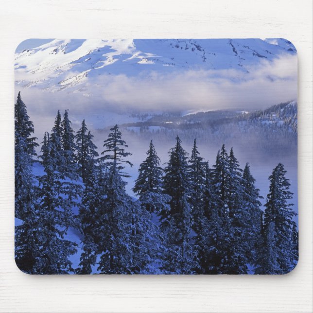 USA, Oregon, Deschutes National Forest, South Mouse Mat (Front)