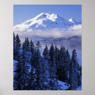 USA, Oregon, Deschutes National Forest, South Poster