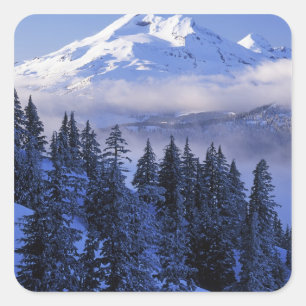 USA, Oregon, Deschutes National Forest, South Square Sticker