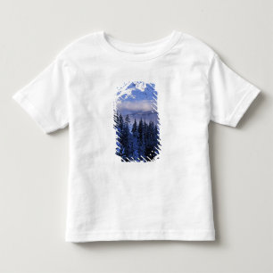 USA, Oregon, Deschutes National Forest, South Toddler T-Shirt