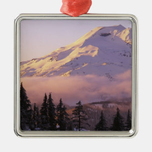 USA, Oregon, Deschutes National Forest, The Metal Tree Decoration