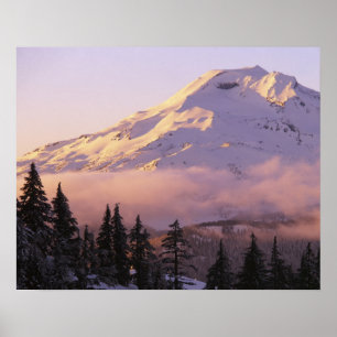 USA, Oregon, Deschutes National Forest, The Poster