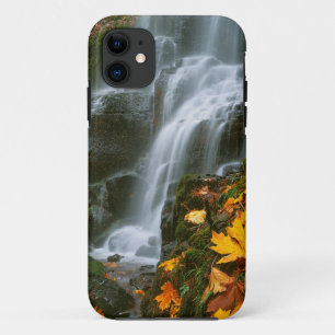 USA, Oregon, Fairy Falls, Columbia River Gorge iPhone 11 Case