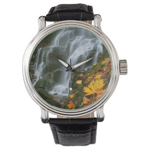 USA, Oregon, Fairy Falls, Columbia River Gorge Watch