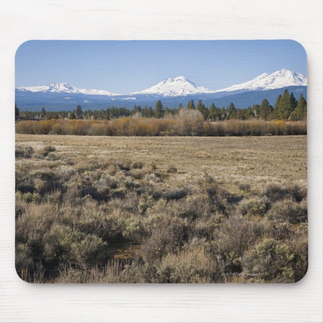 USA, Oregon, Field with snow covered Cascade Mouse Mat (Front)
