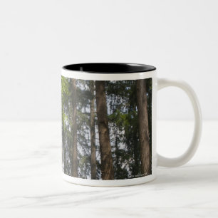 USA, Oregon, Fir trees forest Two-Tone Coffee Mug