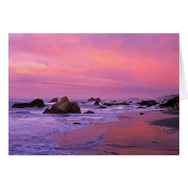USA, Oregon, Harris State Beach, Brookings. (Front Horizontal)