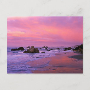 USA, Oregon, Harris State Beach, Brookings. Postcard