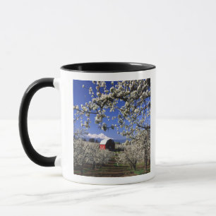 USA, Oregon, Hood River Valley, Pear orchard Mug