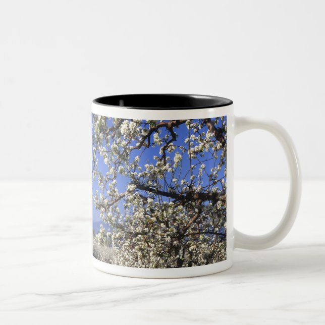 USA, Oregon, Hood River Valley, Pear orchard Two-Tone Coffee Mug (Right)