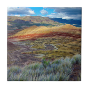 USA, Oregon. Landscape Of The Painted Hills Tile