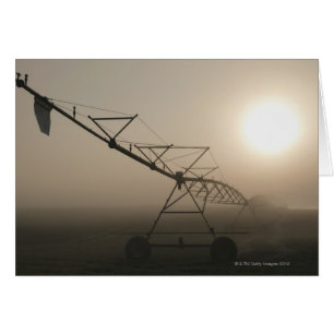USA, Oregon, Marion County, Irrigation and fog