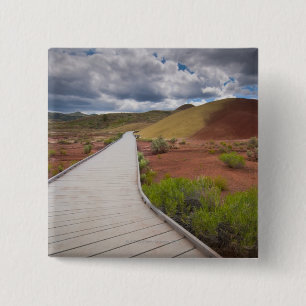 USA, Oregon, Mitchell, Pathway among Painted 15 Cm Square Badge