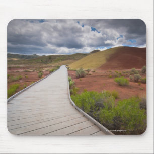 USA, Oregon, Mitchell, Pathway among Painted Mouse Mat