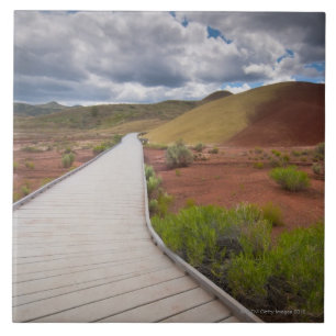 USA, Oregon, Mitchell, Pathway among Painted Tile