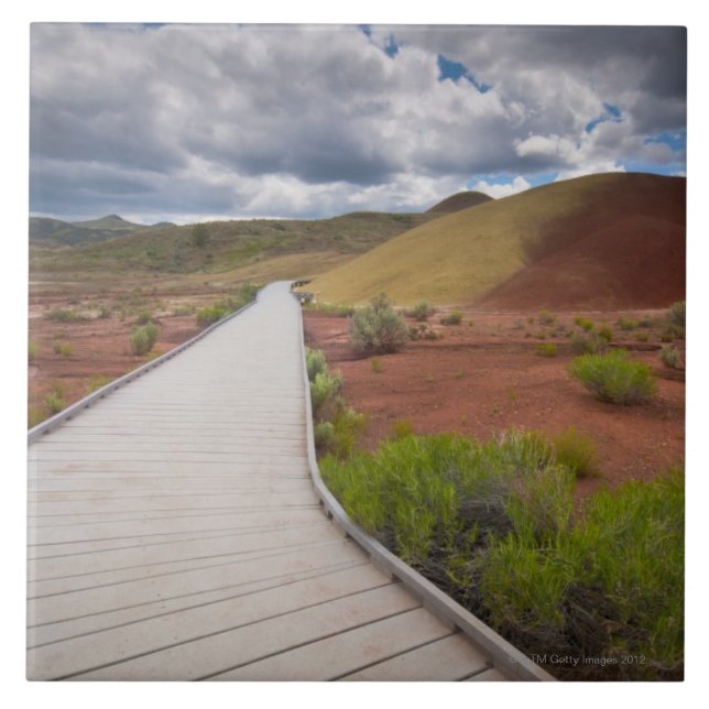 USA, Oregon, Mitchell, Pathway among Painted Tile (Front)