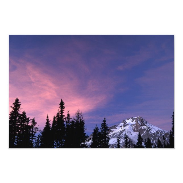 USA, Oregon, Mount Hood from Timberline Photo Print (Front)