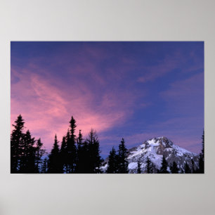 USA, Oregon, Mount Hood from Timberline Poster