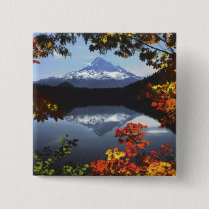 USA, Oregon, Mt. Hood National Forest. 15 Cm Square Badge
