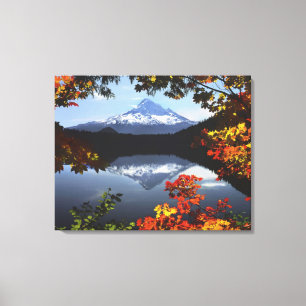USA, Oregon, Mt. Hood National Forest. Canvas Print