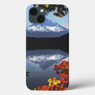 USA, Oregon, Mt. Hood National Forest. iPhone 13 Case