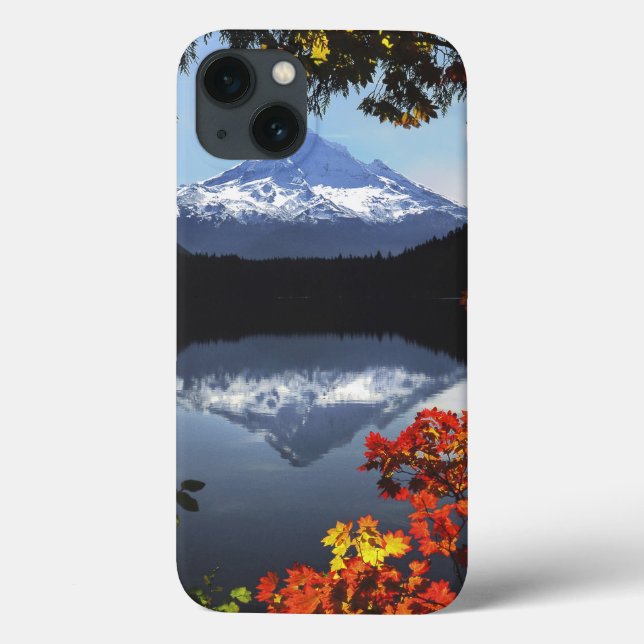 USA, Oregon, Mt. Hood National Forest. Case-Mate iPhone Case (Back)