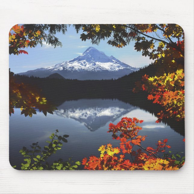 USA, Oregon, Mt. Hood National Forest. Mouse Mat (Front)