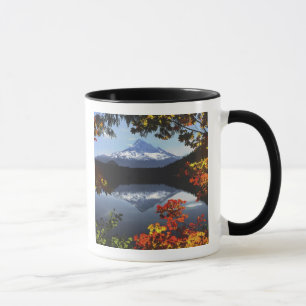 USA, Oregon, Mt. Hood National Forest. Mug
