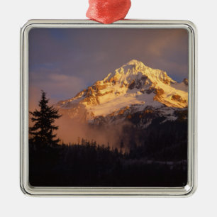 USA, Oregon, Mt. Hood National Forest. Rolling Metal Tree Decoration